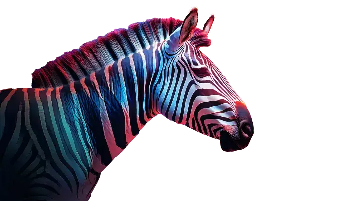 Zèbre